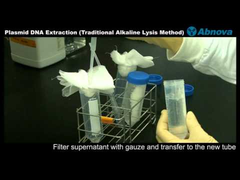 Plasmid DNA Extraction (Traditional Alkaline Lysis Method)