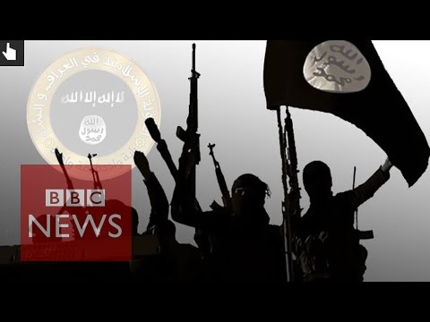 The rise of the Islamic State - BBC News