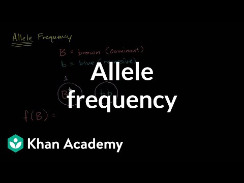 Allele frequency