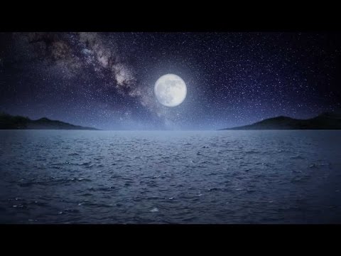 Enya - The Humming (Lyric Video)