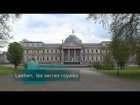 LEM: Visite des Serres Royales à Laeken (Belgique)