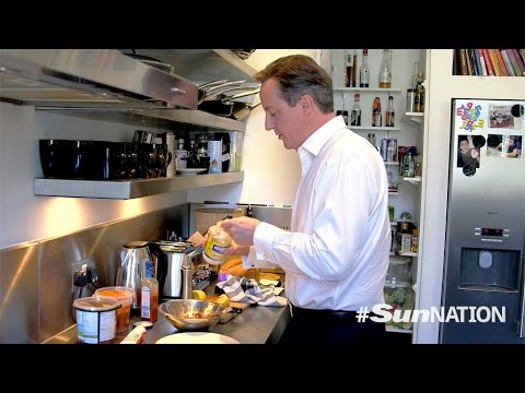 A Day in the Life of David Cameron