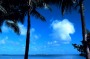 TROPICAL ISLAND .  010827 PHOTO BY GREG NEWINGTON
 GENERIC: HOLIDAY, TRAVEL, TOURISM, VACATION, BEACH AND PALM TREES.
 ...