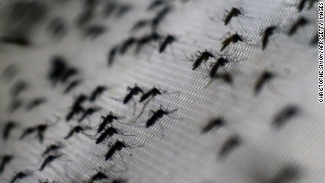 Hawaii baby born with small head had prior Zika infection