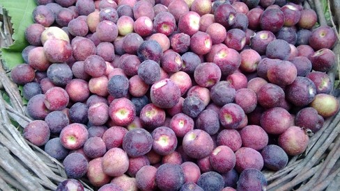 Weekend Grub: Three ways to make the most of falsa season