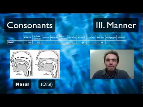 Pronunciation Tutorial 2: English Pronunciation and IPA: Manner