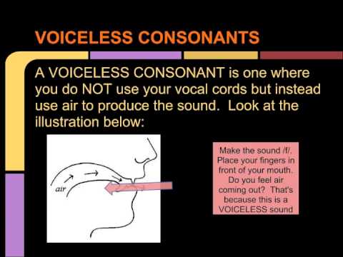 Intro to Speaking & Pronunciation, Video 2: English Consonants, Graphemes and the IPA