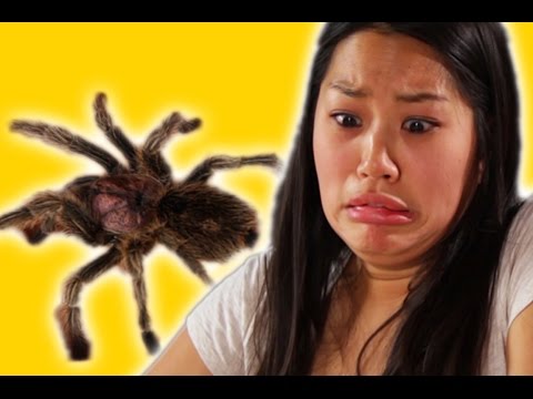 Arachnophobes Meet Spiders