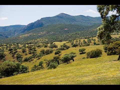 Paisajes de España Castilla-La Mancha/ Landscapes of Spain. Castile-La Mancha