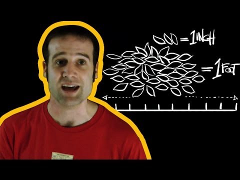 Are Imperial Measurements outdated? | Number Hub with Matt Parker | Head Squeeze