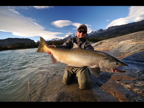 Argentina Fly Fishing – King (Chinook) Salmon (1080p HD) Top rated video