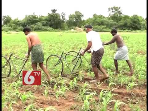 Agriculture Using Modern Methods | Innovative Idea of Farmers in Karimnagar | 6TV