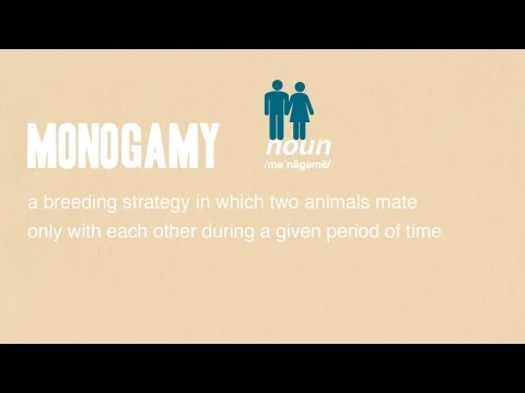 Monogamy