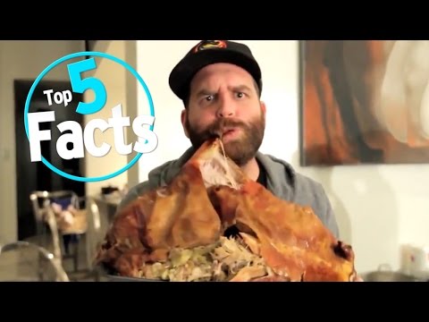 Top 5 Facts About Eating Meat