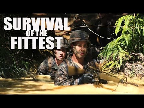 Survival of the Fittest: Jungle Warfare