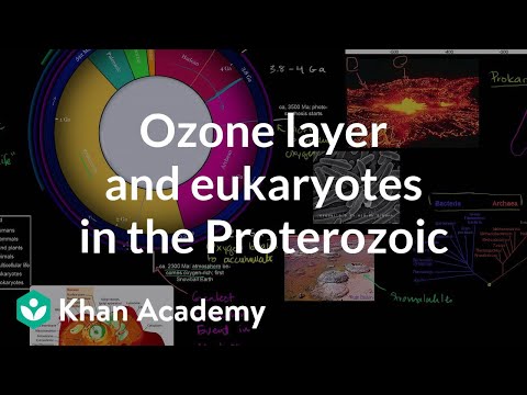 Ozone Layer and Eukaryotes Show Up in the Proterozoic Eon