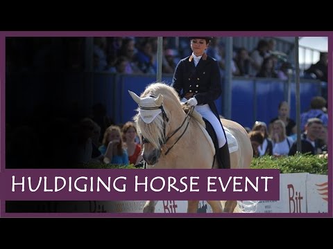 Masterclass with a fjord horse - Inspirational Video