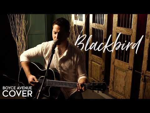 The Beatles - Blackbird (Boyce Avenue acoustic cover) on Apple & Spotify