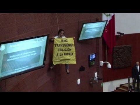 Greenpeace Activist Rappels Into Mexican Senate Session