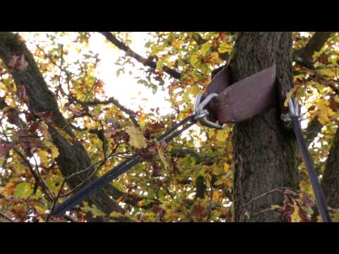 Dom’Up - Trees & People – Bruno de Hemricourt de Grunne et Nicolas d’Ursel