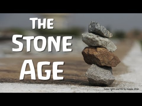 The Stone Age (World History)