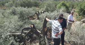 nablus