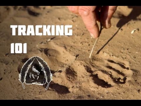 Tracking 101- Black Scout Tutorials