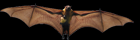 Bats image