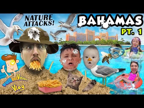 BIRDS Attack Us @ ATLANTIS Resort Hotel Beach (FUNnel Vision Bahamas Trip Part 1)