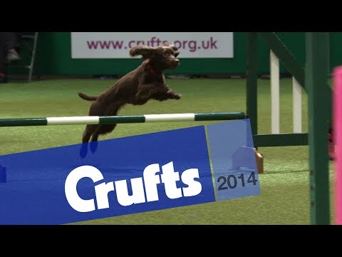 The Agility Championship Final | Crufts 2014