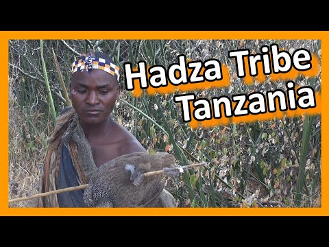 Tanzania - Lake Eyasi: Hadza tribe hunters & gatherers