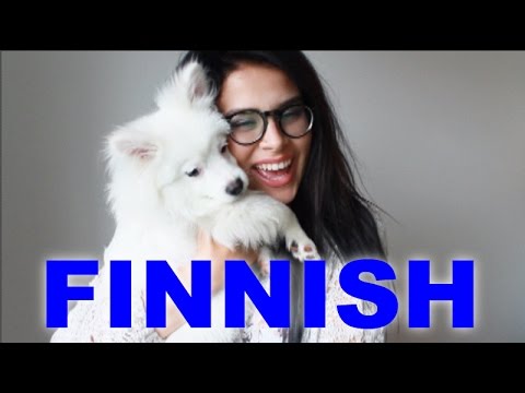 LEARN FINNISH WITH SARA