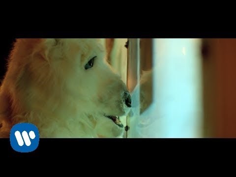 Vance Joy - "Mess is Mine" [Official Video]