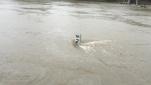 Flooding in Parramatta