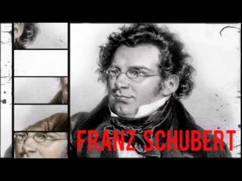 Franz Schubert  /// The Piano Sonatas ( Part 1 )