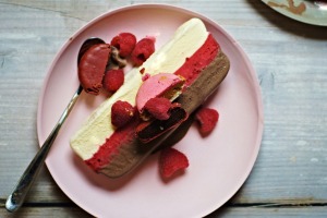 Chocolate, raspberry, vanilla coconut and macaron ice cream cake