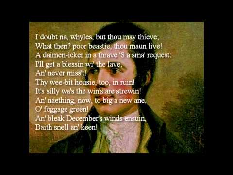 To A Mouse by Robert Burns ~ poem reading with text