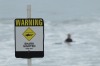 Warnings of danger are not always heeded, as proved at a Newcastle beach.