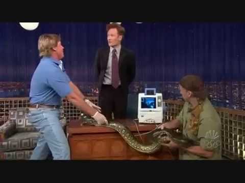 Steve Irwin on "Late Night with Conan O'Brien" - 11/10/05