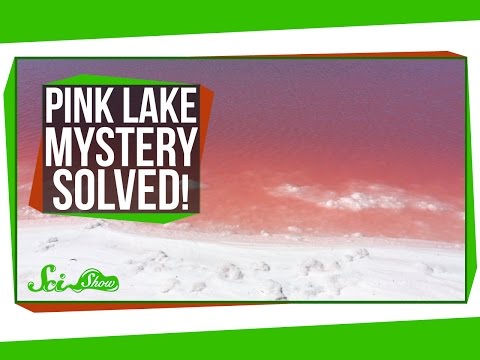 Pink Lake Mystery Solved!