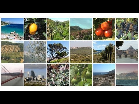 Lands of Two Seasons: The World's Mediterranean-Climate Ecosystems