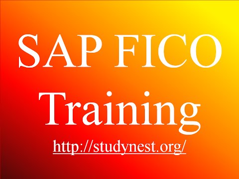 SAP FICO Training - Basic Settings2-Variants Fiscal Year (Video4) | SAP FICO