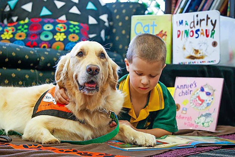 Connor, 6, reads with Stumpy. Picture: Luke Hemer