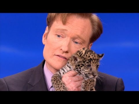 Animal Expert David Mizejewski: Baby Jaguars & Binturong - CONAN on TBS