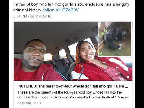 Fox News Blames Dad's "Criminal History" for the death of Harambe the Gorilla