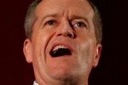 Opposition Leader Bill Shorten addresses Labor supporters during the campaign.