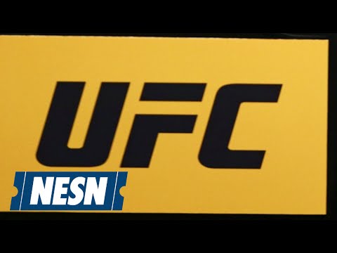 Brock Lesnar To Fight At UFC 200