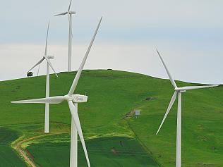 Waubra Wind Farm Story