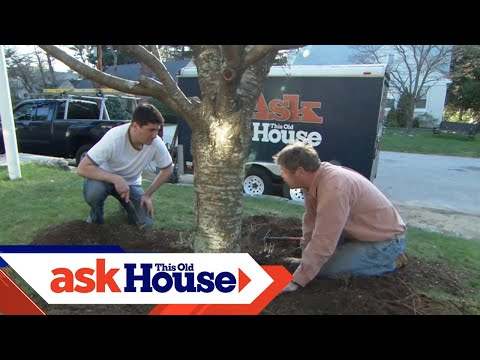 How to Mulch a Garden Bed