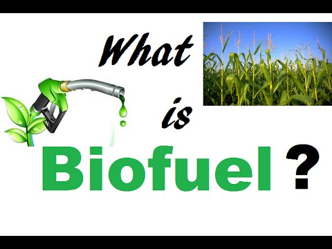 What is Biofuel?